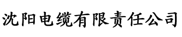 国产成人午夜精品影院电缆厂logo